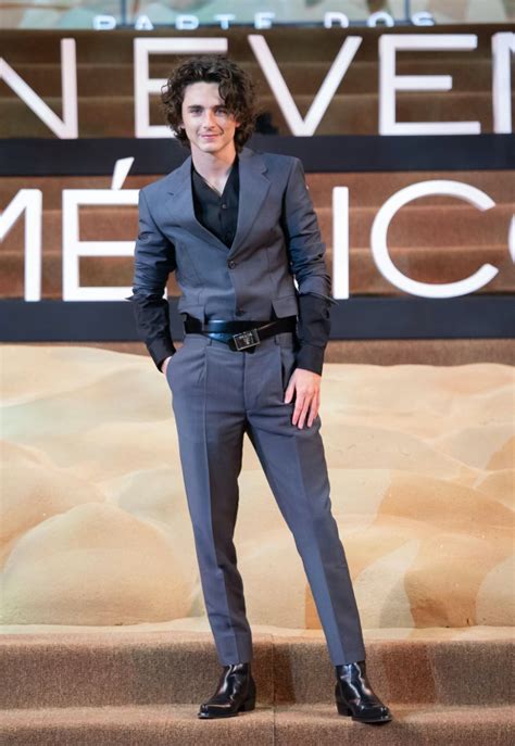timothée chalamet prada